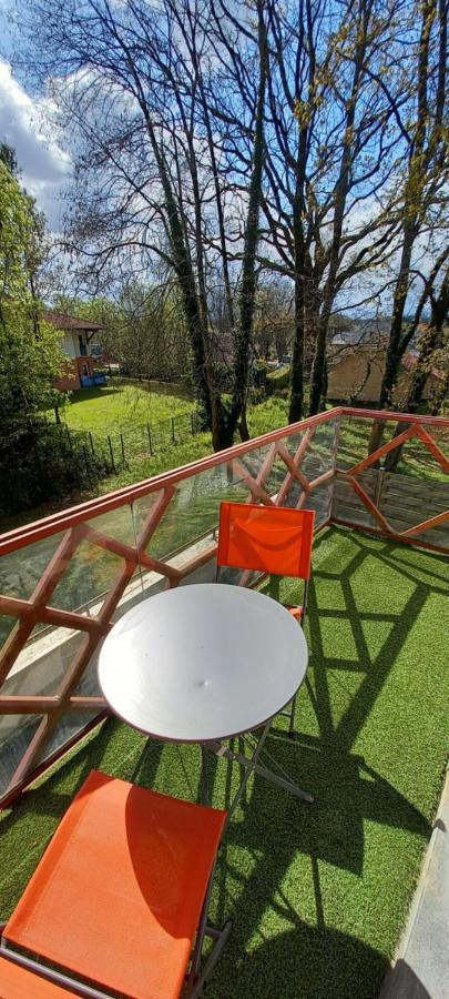 Le Petit Park-Studio-Terrasse- Piscine-Wifi Fibre Apartman Pau Kültér fotó