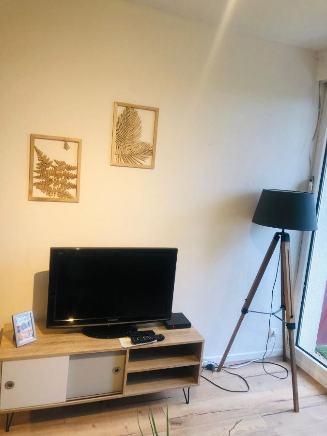 Le Petit Park-Studio-Terrasse- Piscine-Wifi Fibre Apartman Pau Kültér fotó